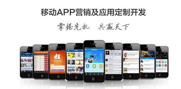 长沙app开发 手机app定制开发